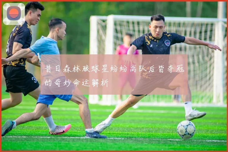 昔日森林狼球星纷纷离队后皆夺冠的奇妙命运解析