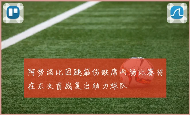 阿努诺比因腿筋伤缺席两场比赛将在东决首战复出助力球队