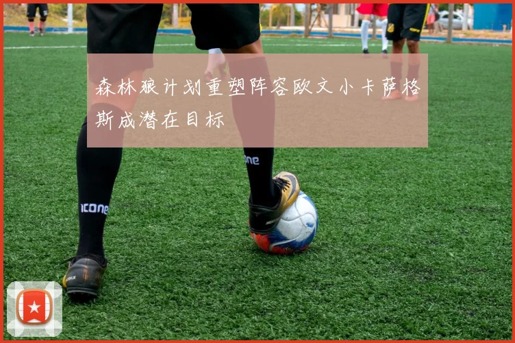 森林狼计划重塑阵容欧文小卡萨格斯成潜在目标